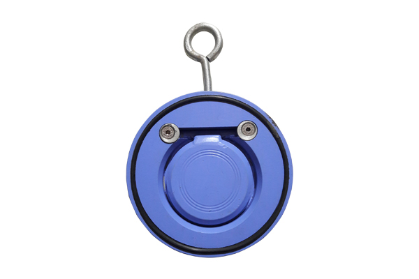 Wafer Type Cehck Valve